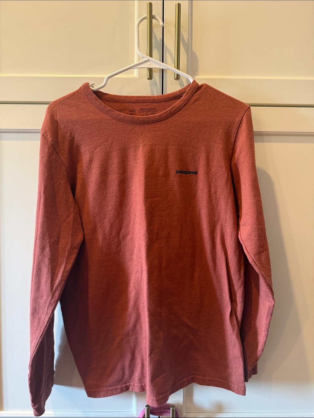 Patagonia Long-Sleeve Tee in Dusty Rust